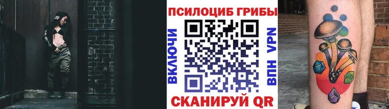 Галлюциногенные грибы MAGIC MUSHROOMS  дарнет шоп  Касли 